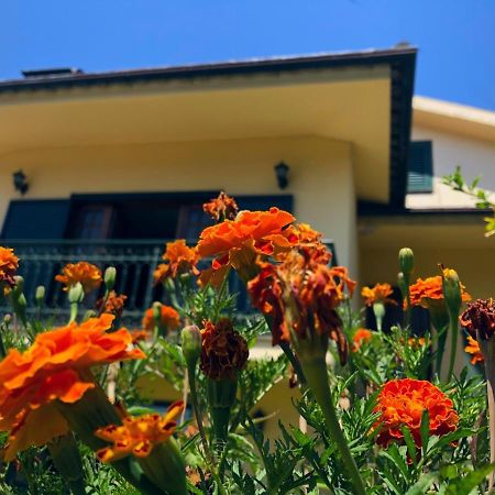 Villa Casa Sao Simao Barcelos Esterno foto