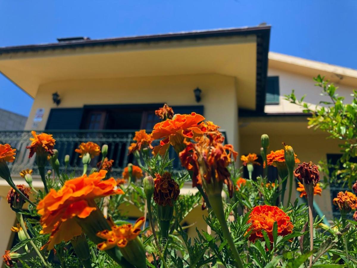 Villa Casa Sao Simao Barcelos Esterno foto